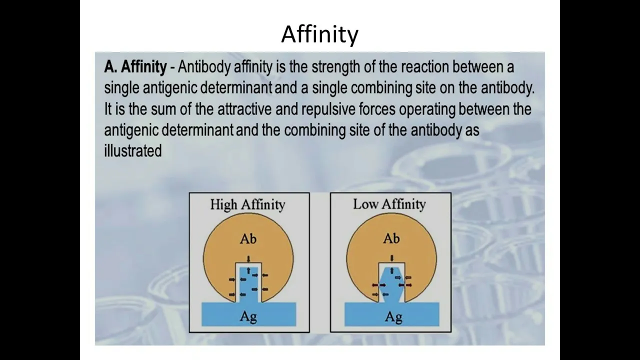 Antigen antibody interactions - Dr. Seema Menon