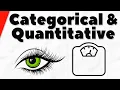 Categorical and Quantitative Variables Statistics