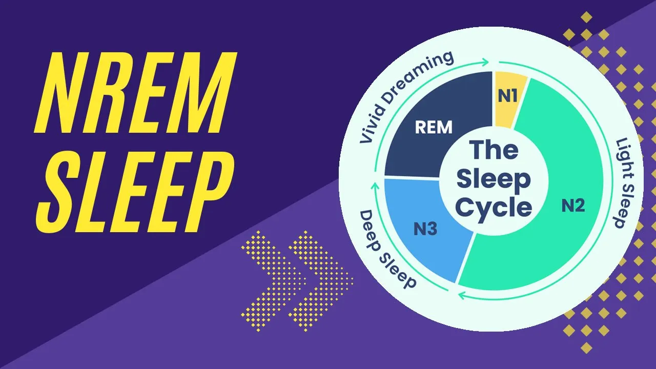 NREM SLEEP Simplified | Physiology