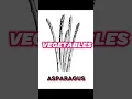 PRINTABLE COLORING BOOK OF VARIOUS VEGETABLE 50 PAGE