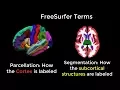 FreeSurfer Introduction