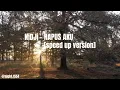 Download Lagu NiDJi - HAPUS AKU - SPED UP - lyrics