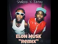 Elon Musk (Remix)