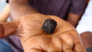 வெறும் வயிற்றில் சாப்பிட்டால் போதும், உடல் உஷ்ணம் வெள்ளைப்படுதலை குணமாக்கும் மூலிகை