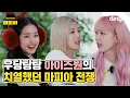 Download Lagu [ENG/JPN] 🧐마피아게임 하다가 단체로 드러누운(?) 아이즈원 | IZ*ONEㅣPanoramaㅣ마피아 댄스 | 딩고뮤직ㅣDingo MusicㅣMAFIA DANCE