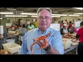 Maryland s Best Seafood - JM Clayton Seafood