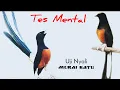 TES MENTAL ‼️ Masteran UJI NYALI MURAI BATU utk MELATIH MENTAL TARUNG