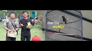 konin dokter kunci mr budi kepiting tampil 3 kelas dan raih juara satu ndi kelas utama insert 200k