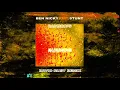 Raindrops (David Rust Remix) (feat. Stunt) - Ben Nicky