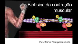 BIOFÍSICA DA CONTRAÇÃO MUSCULAR