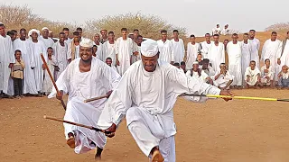 عرضه مجنونه جن سليمان البطحاني 