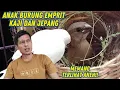 Download Lagu Menjawab Pertanyaan Sahabat Penghobi Burung Emprit