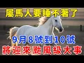 Download Lagu 屬馬人要睡不著了！出大事了！ 9月8號到10號，將迎來颱風級大事，再不知道就晚了！【禪心】#生肖 #運勢 #風水 #財運#命理