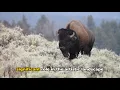 Billings Montana Top 10 Must Do s