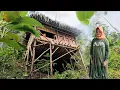 Download Lagu Kaget.. Nikah Beda Usia Gadis 20 Tahun Dalam Keadaan Hamil Nekad Tinggal Di Pinggir Hutan Angker