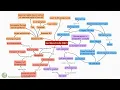 Red Blood Cells Erythrocytes Concept Map
