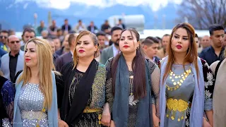خوشترین هلپرکی نوروز کوردی ۲۷۲۴ مراسم جشن نوروز ژریژه و هلپرکی در کوردستان با رقص شاد کوردی 