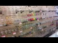Head shop tour
