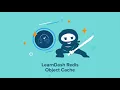 LearnDash Redis Object Cache Add-On