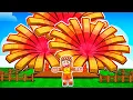 Download Lagu Starting Over BROKE and Using ONLY BURNING BUDS in Roblox Grow a Garden!