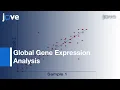 Global Gene Expression Analysis By Zebrafish Oligonucleotide Microarray Platform l Protocol