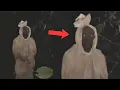 Download Lagu 10 PENAMPAKAN HANTU POCONG DAN KUNTILANAK TERJELAS YANG VIRAL DI INTERNET