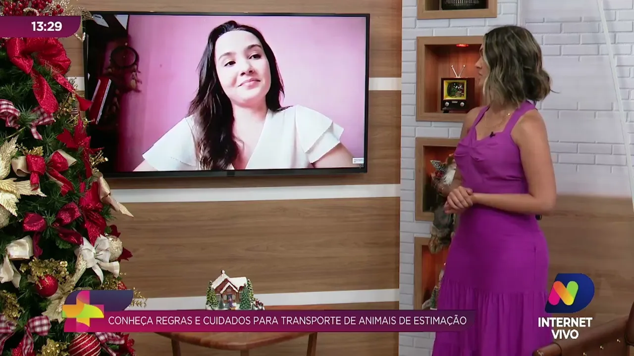 Pets em viagens: conheça as regras e cuidados para transporte de animais de estimação