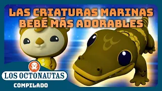 Los Octonautas - 🦦 Las criaturas marinas bebé más adorables 🐬 | Episodios Completos | Compilado