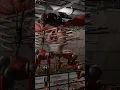 Prediction v1