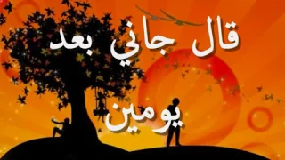 قال جاني بعد يومين آدم 