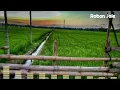 Download Lagu Perkawinan - Doel Sumbang - Lirik (HQ audio)
