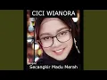 Download Lagu Secangkir Madu Merah