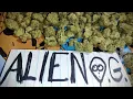 ALIEN O G - THCA KING