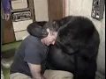 Gorilla hug man funny Gif NCG