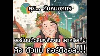 คอร์ติซอลมีบทบาทอย่างไรต่อการเผาผลาญพลังงานในร่างกาย