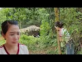 Download Lagu The mute wife returns, heartbroken to find her husband and his ex-girlfriend together