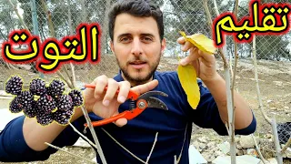                                                                           دندنها