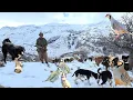 Lagu Jahangir and the sheep in the snow battle: The true story of the nomadic life of the Zagros 🔥🐑