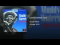 Corrine Corrina - Live
