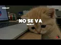 Morat - It Won't Go Away (Lyrics)