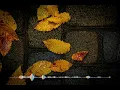 Осінній сад (@IVO-BOBUL  metal cover)