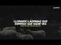 Ben Fuller - Black Sheep (Español + Lyrics)