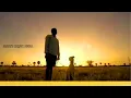 Download Lagu 🥰🐕‍🦺vettai WhatsApp status 🐇🥰 வேட்டை ஸ்டேட்டஸ் 🐕‍🦺🐇