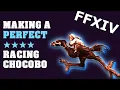Breeding a Perfect Racing Chocobo in FFXIV