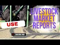 How To Use USDA Livestock Reports
