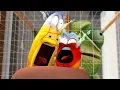 Lagu LARVA | EVIL FROG | 2019 Cartoon | Cartoons For Children | WildBrain Cartoons