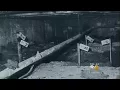 Gacy Victim No 24 Identified