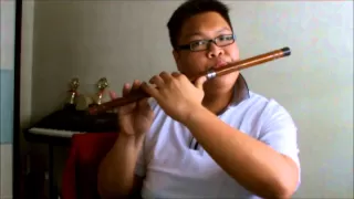 t ara day by day flute cover 