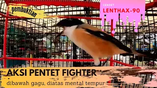 Download aksi pentet fighter diatas gantangan. MP3