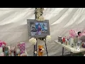 Santa Maria mother remains hospitalized after crash that killed young daughter